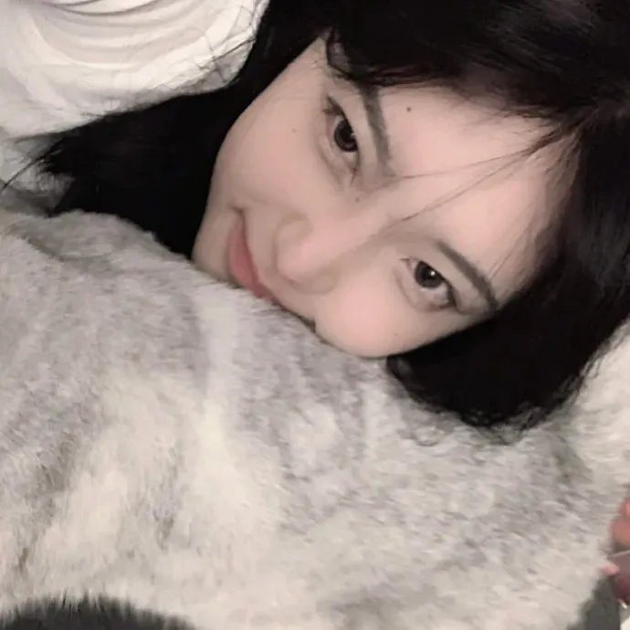 律政新人王粤语